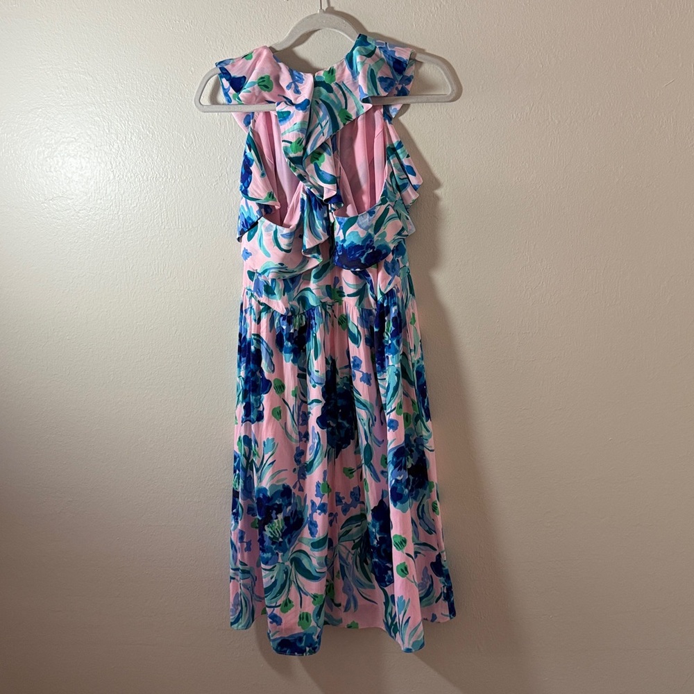 Lilly Pulitzer Rory Dress - Picture 12 of 12